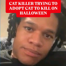 Tami Walker Hernandez