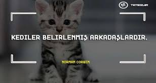 Kediler Ile Ilgili Sozler Ve Alintilar