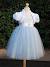 Wedding Party Wear Winter Dresses For Girls