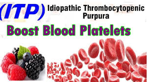 foods good in itp to boost blood platelets youtube