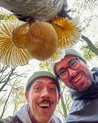 Manche verlängern unser Leben und können sogar Krebs heilen,manche von  ihnen können uns aber auch töten 🥺Pilze sind unfassbar faszinierend!Damit  ich mehr über sie erfahre hab ich mich mit dem King auf