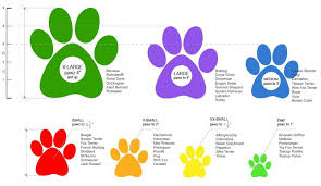 Size Chart For Pawz Dog Boots Travelin Paws Random