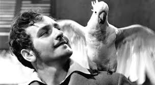Watch buccaneer (1938) now on your favorite device! The Buccaneer Film Park Circus