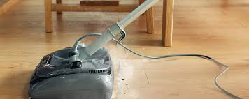 Light N Easy Steam Mop 2 In 1 Floor Steamer S7326 Review