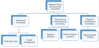 Östergötland är en av 21 regioner i sverige. Schematic Organisational Chart Of The Central Functions Of Region Download Scientific Diagram