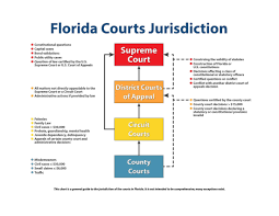Five members are chosen from five districts around the state to foster geographic diversity and two are selected. The State Courts System The Florida Bar