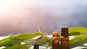 للتخلص من حساسية الأنف إليكم هذه العلاجات السحرية