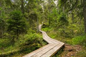 Ip address 111.90.150.204 is a public ipv4 address and owned by an unknown company. Tyresta Nationalpark Huvudentre Till Tyresta Nationalpark Ekenbygg Tyresta National Park 023 Jpg2 592 1 944 Design
