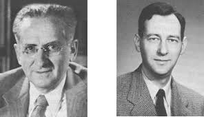 Economics at Chicago, 1939-1955: the scope of our ignorance