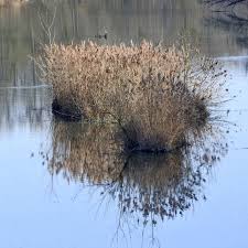 Si vous connaissez le sujet dont traite l'article, merci de le reprendre à partir de sources pertinentes en utilisant notamment les notes de fin de page. Le Monstre Du Loch Ness Photography By Alain Brasseur Artmajeur