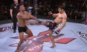 This fight was career highlight of silva in single fight. Brutal Front Kick Results In Instant Ko