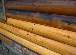 Maybe you would like to learn more about one of these? Pressure Washing Your Log Home
