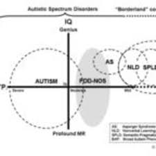 006 not quite autism at the borderland of asd psychology