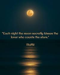 Pin By Cindy On Quotes Rumi Quotes Moon Quotes Lovely Quote