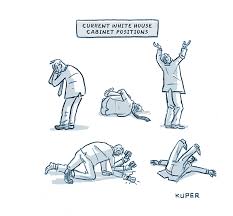 Examples of cabinet position in a sentence, how to use it. White House Cabinet Positions Greeting Card For Sale By Peter Kuper