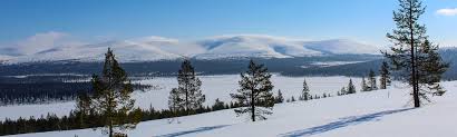 Avec les voyages en finlande de nord espaces, découvrez la magie des forêts et aurores boréales, d'helsinki à la laponie, en famille ou entre amis. Voyage Finlande Circuit Et Sejour En Finlande