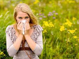 Traitement Naturel Des Allergies Saisonnières: Rhinites Et Rhume Des Foins