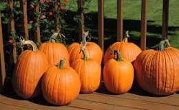 Image result