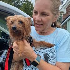 Were the suites and cabins refreshed in the latest update