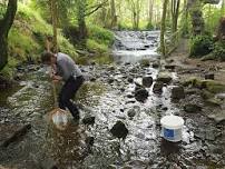 Riverfly Taster Evening - Oxenhope Millennium Green