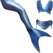 Inclus avec une mono palme pour pratiquer la nage du dauphin et ressembler à une vrai sirène. Epingle Sur Idees Cadeaux Elora