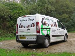 Though as pet sitting takes place in person, it's still good to meet with them first before handing your pet over. Pet Services Snobby Dogs