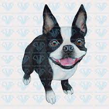 Boston Terrier Png Instant Download Supersvg Boston Terrier Terrier Cute Dogs