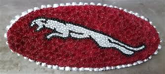From casket choices to funeral flowers, the funeral directors at distasio funeral home provide individualized funeral services designed to meet the needs of each family. Jaguar Leaping Cat Logo Funeral Flowers Tribute Funeral Tributes Funeral Flower Arrangements Cat Logo