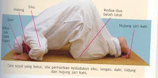 Niat solat taubat sahaja aku mengerjakan solat sunat taubat dua rakaat kerana allah ta'ala. 2. Cara Sujud Dalam Solat Dengan Betul Life With Love