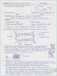 Maybe you would like to learn more about one of these? Dna And Rna Structure Worksheet Answer Key Dna Rna Dna Worksheet Dna Replication