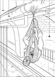 There's something for everyone from beginners to the advanced. Free Printable Spiderman Coloring Pages For Kids