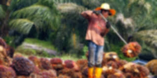 Image result for å¿è®©å°å­ä¸»é·å¥æ å©