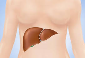 It has two main breast cancer metastasis in the pancreas is rare, but it's not impossible. Where Breast Cancer Spreads Lymph Nodes Bones Liver Lungs Brain