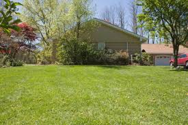 We did not find results for: What Documents Are Needed To Put One S House Up As Collateral