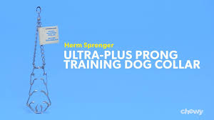 Ezv_017_hermsprenger_ultraplusprongtrainingdogcollar_wistia_r0