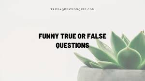 The longest place name on the planet is in wales? 100 Funny True Or False Questions You Didn T Know Trivia Qq