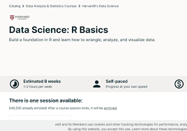 Foundational r programming concepts such as data types, vectors arithmetic, and indexing; Data Science Foundations Using R Specialization Courses Vision