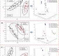 Hyperspectral reflectance imaging for simultaneous detection ...