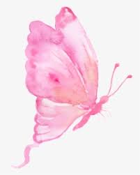 Hang your posters in dorms, bedrooms, offices, or anywhere blank walls aren't welcome. Pinkbutterfly Butterfly Butterflypink Pink Aesthetic Butterfly Backgrounds Hd Png Download Kindpng
