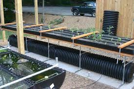 Bioponica Food Plant Aquaponics Hydroponics Aquaponics System