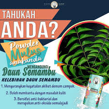 Pernah sekali terkena demam campak. Buy Ning Salmah Powder Mulus Anakanda Ubat Demam Campak Eczema 50gram Seetracker Malaysia