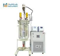 Topacelab Stainless Steel 304 Frame Chemical Glass Reactor With Condenser  Customized