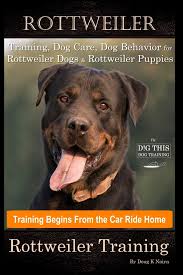 Rottweiler puppy training tips is something you will need to know when working with a rottie puppy. Rottweiler Training Dog Care Dog Behavior For Rottweiler Dogs Rottweiler Puppies By D G This Dog Training Dog Training Begins From The Car Ride