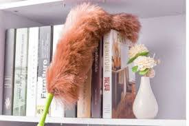 A good beating removes much more dust than vacuuming. Health And Hygiene Tips To Make Your Home Monsoon Ready India Com