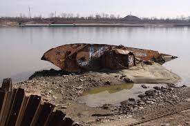 Image result for Red Marina 1993 UMM