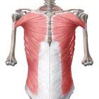 The division into four quadrants allows the localisation of pain and tenderness, scars, lumps, and other items of interest. Abdominal Regions Anatomy Landmarks And Contents Kenhub