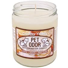 The best value in odour eliminating products. Specialty Pet Productspet Odor Exterminator Candle Mulberry Spice Jar 13 Oz Dailymail