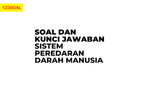 Simak selengkapnya di sini, ya! Soal Dan Kunci Jawaban Sistem Peredaran Darah Manusia Sobatilmu Com