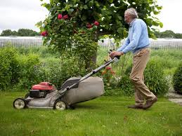 Licensed and insured, as well as expertise in the business. Understanding Basic Lawn Care Tools