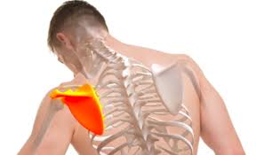 Si je te vois demain, je te ferai voir les notes du cours. Mal De Dos Et Respiration Quel Traitement Naturel Reflex Osteo
